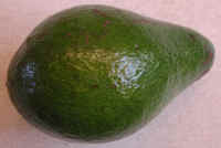 Avocado