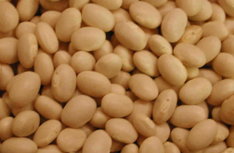 Navy beans recipes