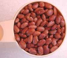 pinto beans representation