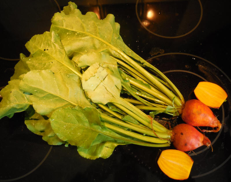 Beets, Touchstone Gold