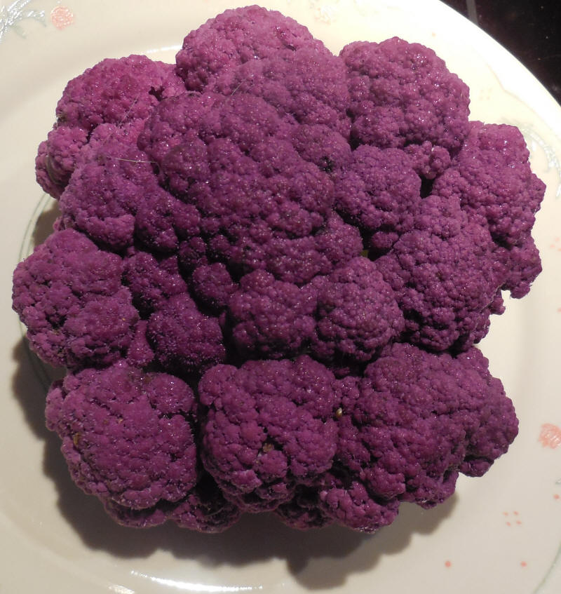 Broccoli, Purple