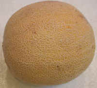 Cantaloupe