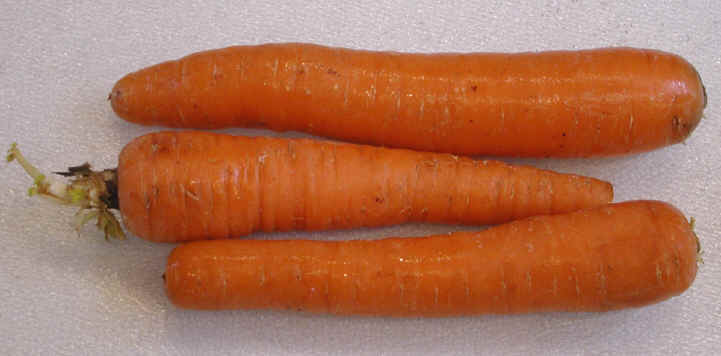 Carrots