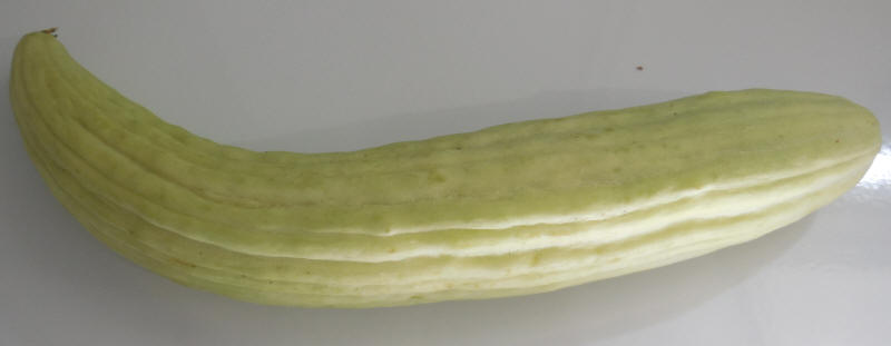 Cucumber, Armenian Yellow