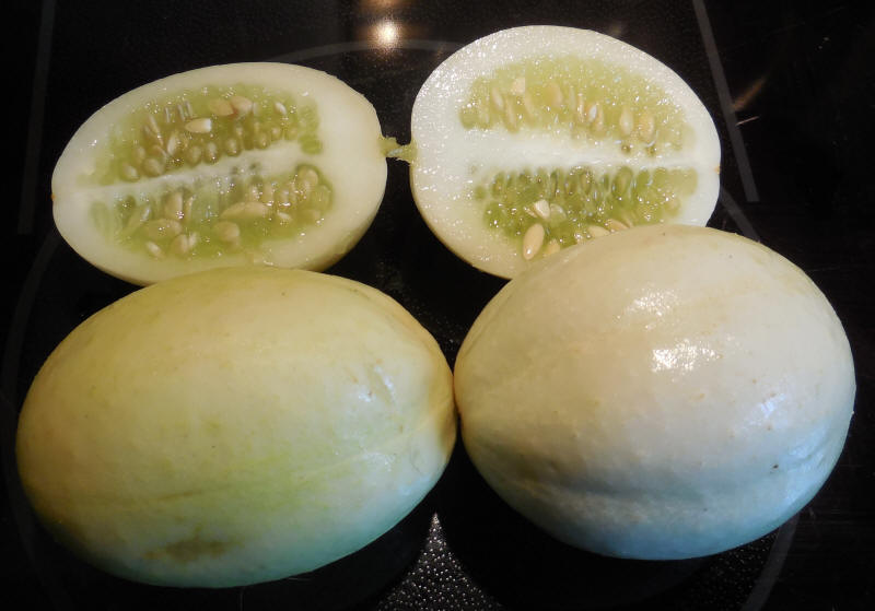 Cucumbers, Dragon's Egg