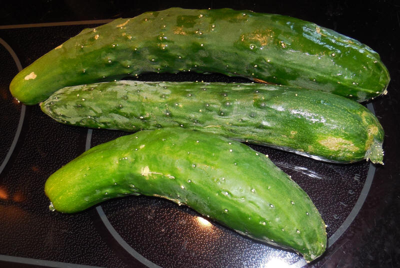 Cucumbers, Natsu Fushinari