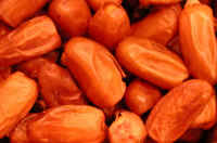 Dates, Deglet Noor (Bread Dates)