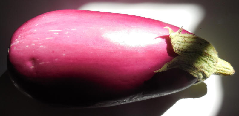 Eggplant, Rosita
