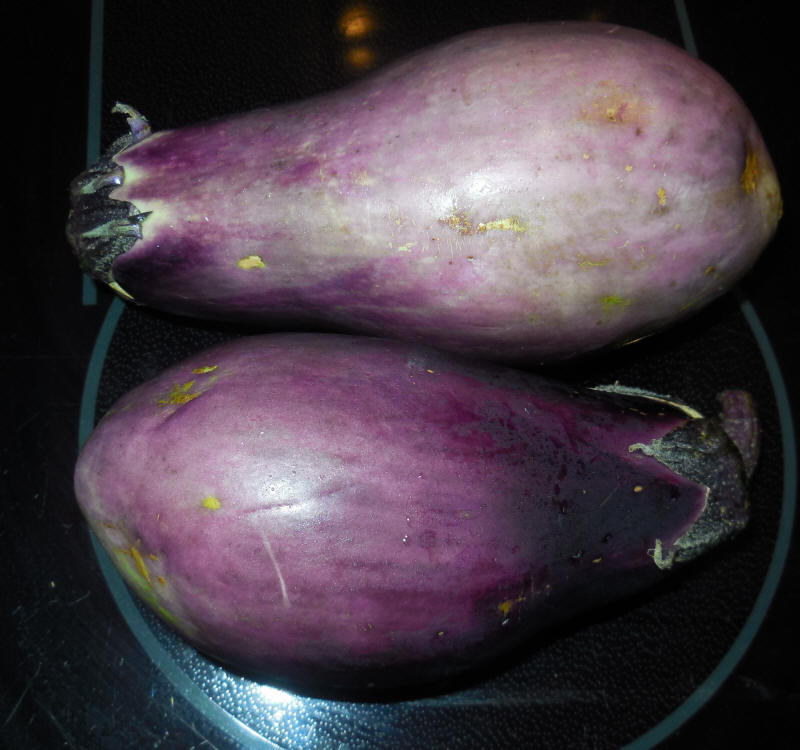 Eggplant, Senshu Kinukawa Mizu
