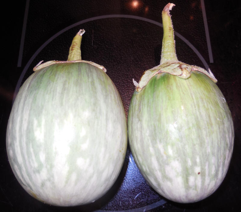 Eggplant, Thai Green