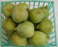 Figs - Green