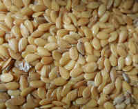 Flaxseed, Golden