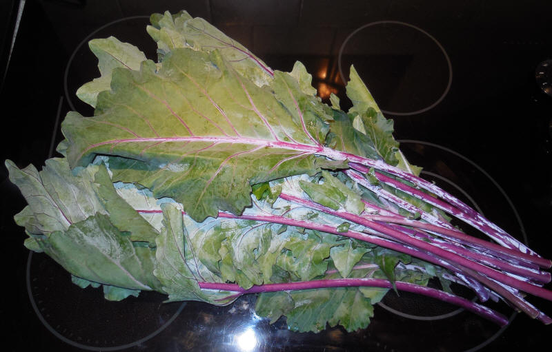 Kohlrabi, Purple Greens