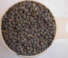 Lentils, French