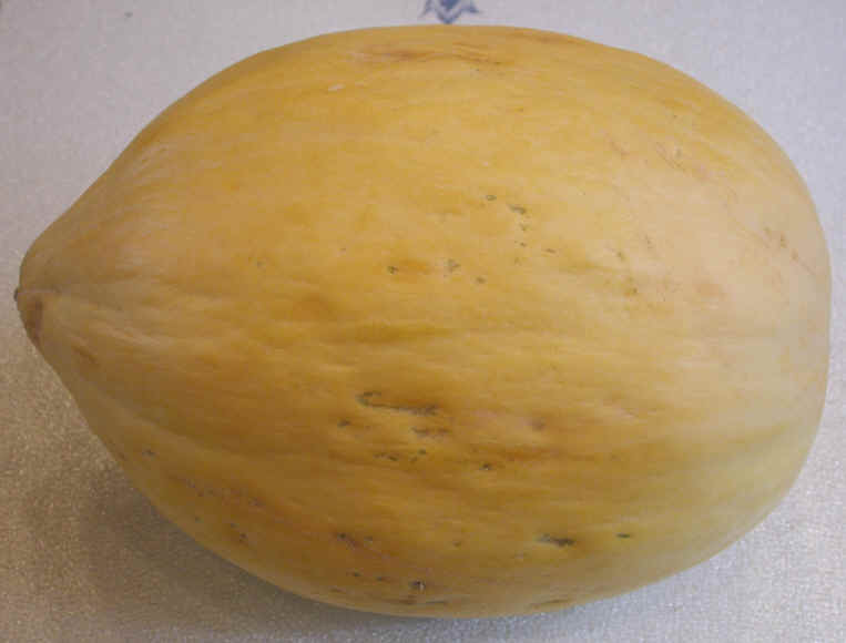 Crenshaw Melon 87