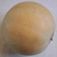 Melon, Orange Flesh Honeydew