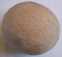 Melon, Persian
