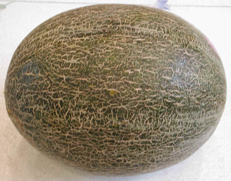 Sharlyne Melon