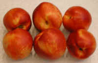 Nectarine