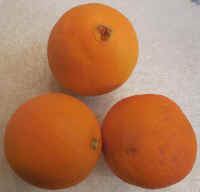 Oranges, Cara Cara Navel