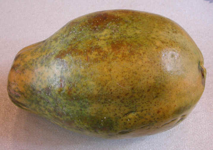 Papaya, Large Red, ripening