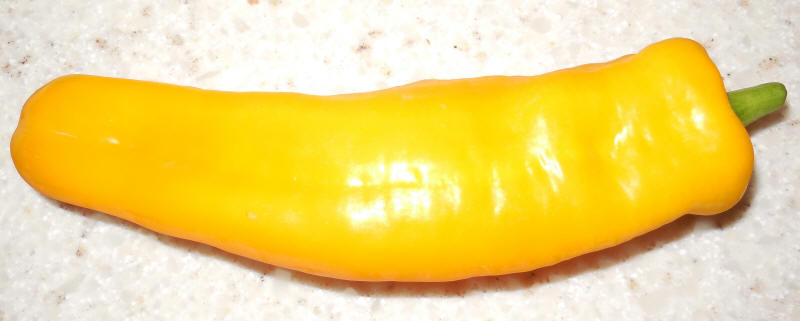 Pepper, Sweet Long Yellow