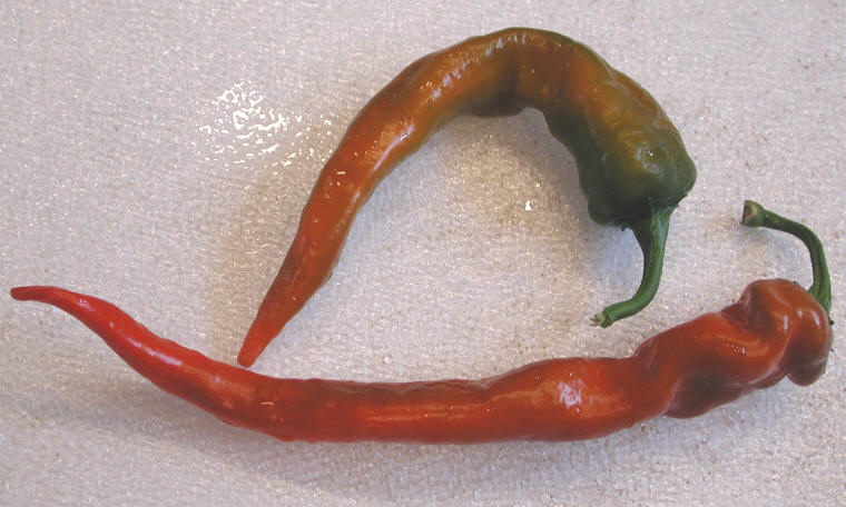 Cayenne Peppers