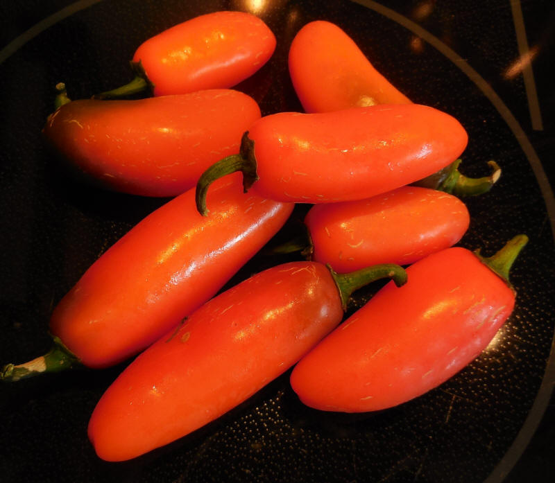 Peppers, Jalapeno Orange Spice
