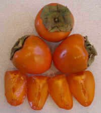 Persimmon