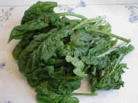 Spinach Recipes