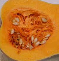 Butternut Squash Seeds