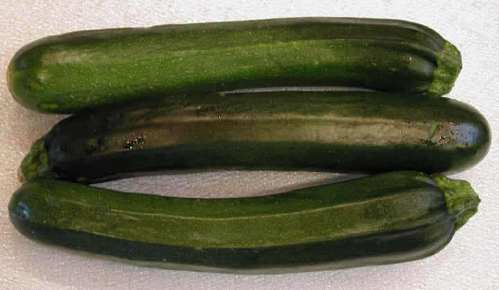 i-squash-zucchini.jpg
