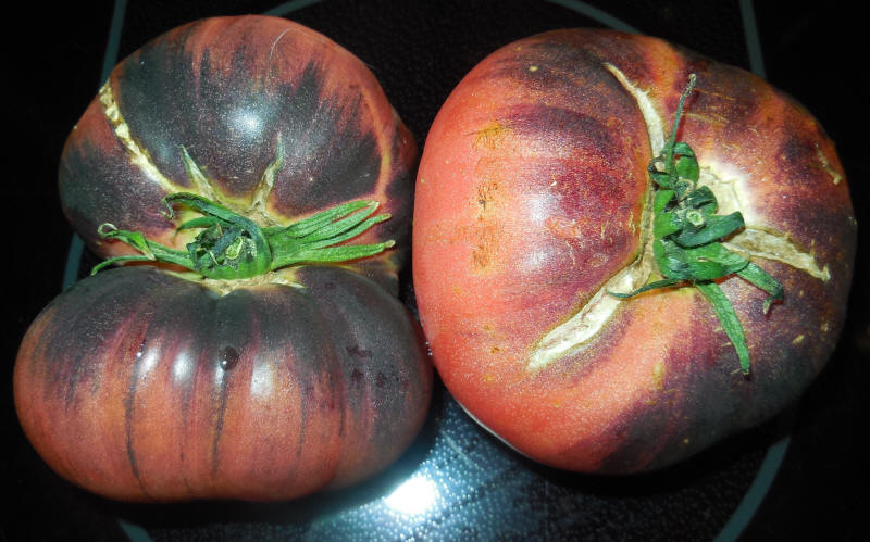 Tomatoes, Blue beauty