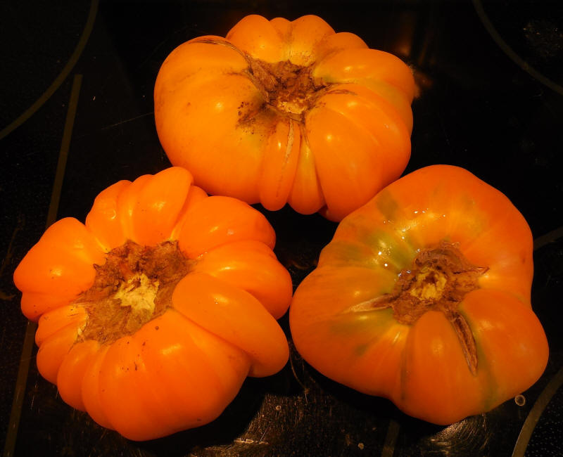 Tomatoes, Orange Jazz Heirloom