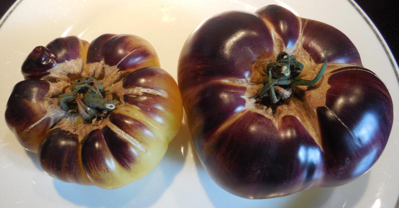 Tomatoes, Sart Roloise