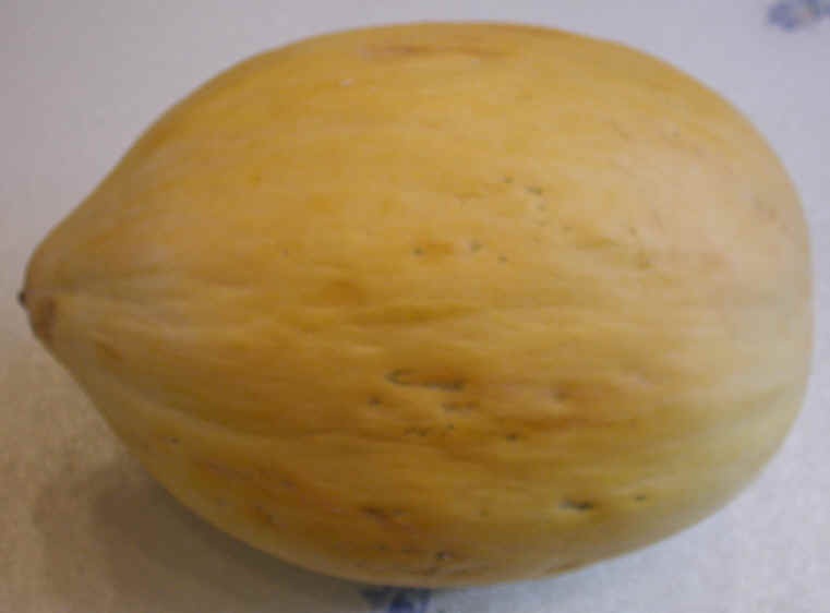 Crenshaw Melon 92
