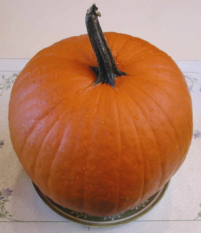 Stuffed Pumpkin - 01