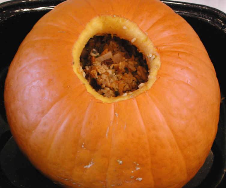 Stuffed Pumpkin - 06