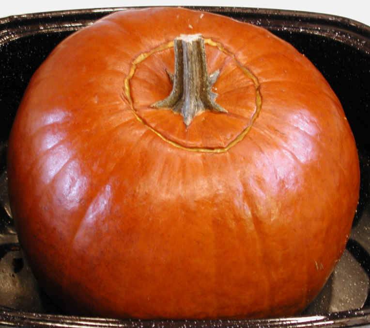 Stuffed Pumpkin - 07