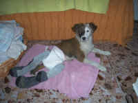 a-annmarie-01_small