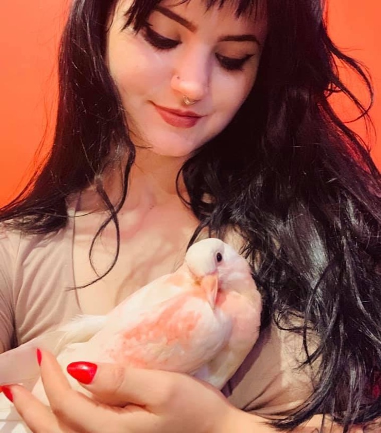 Pigeon Bloom