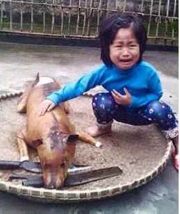 Flower dog meat