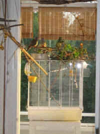 a-everycage-06_small