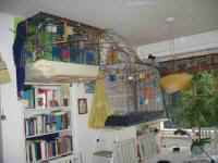 a-everycage-08_small