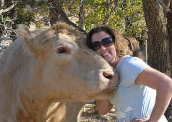 Animal Place Howie icon sanctuary