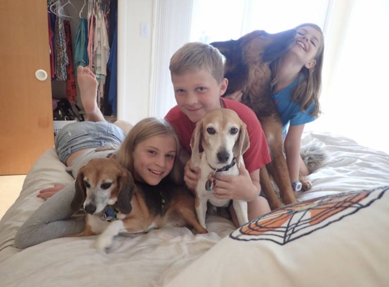 kids adopted dogs