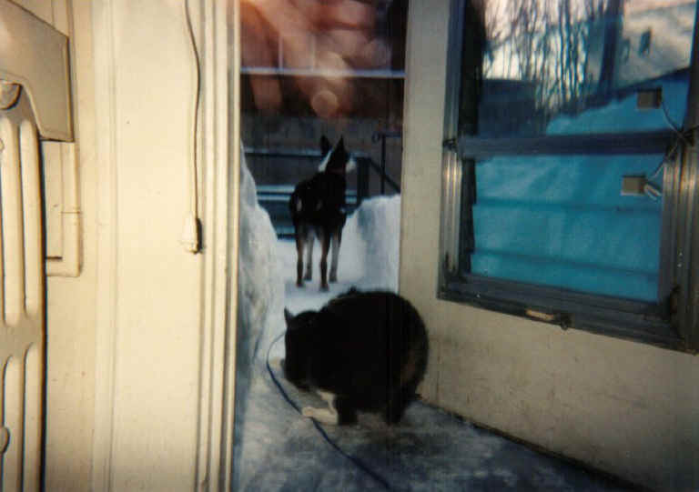 a-mousie-09