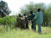 a-mpala-01_small