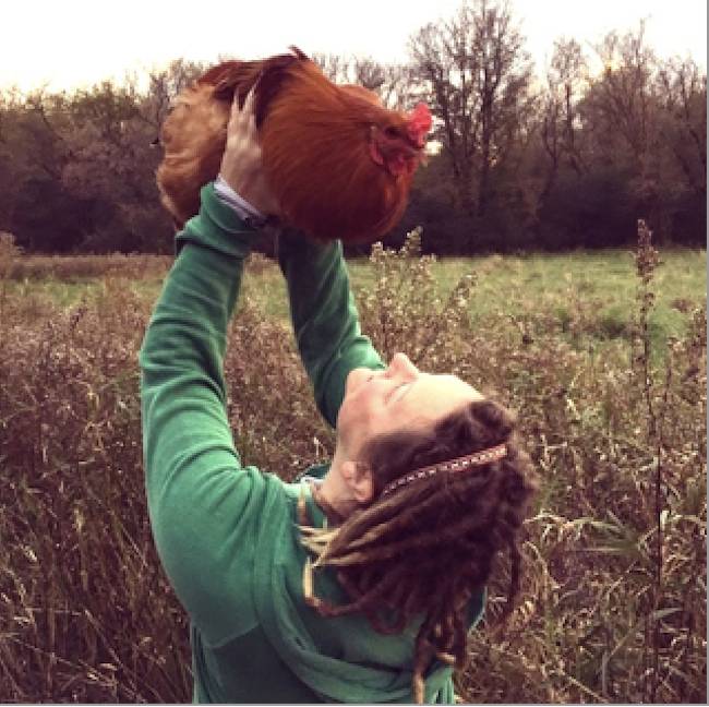 rescued rooster