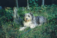 a-stormiecamping_small